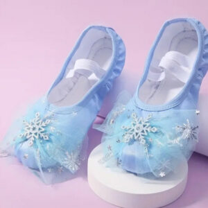 Blue Ballet Dancing Shoes