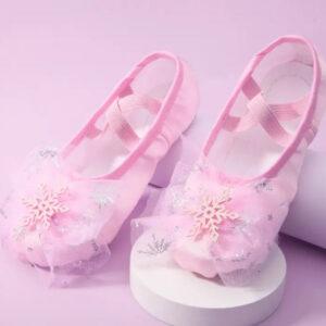 Pink Ballet Dancing Shoes
