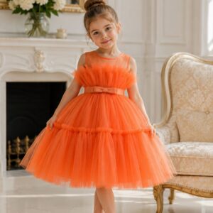 Orange Ruffle Tulle Dress